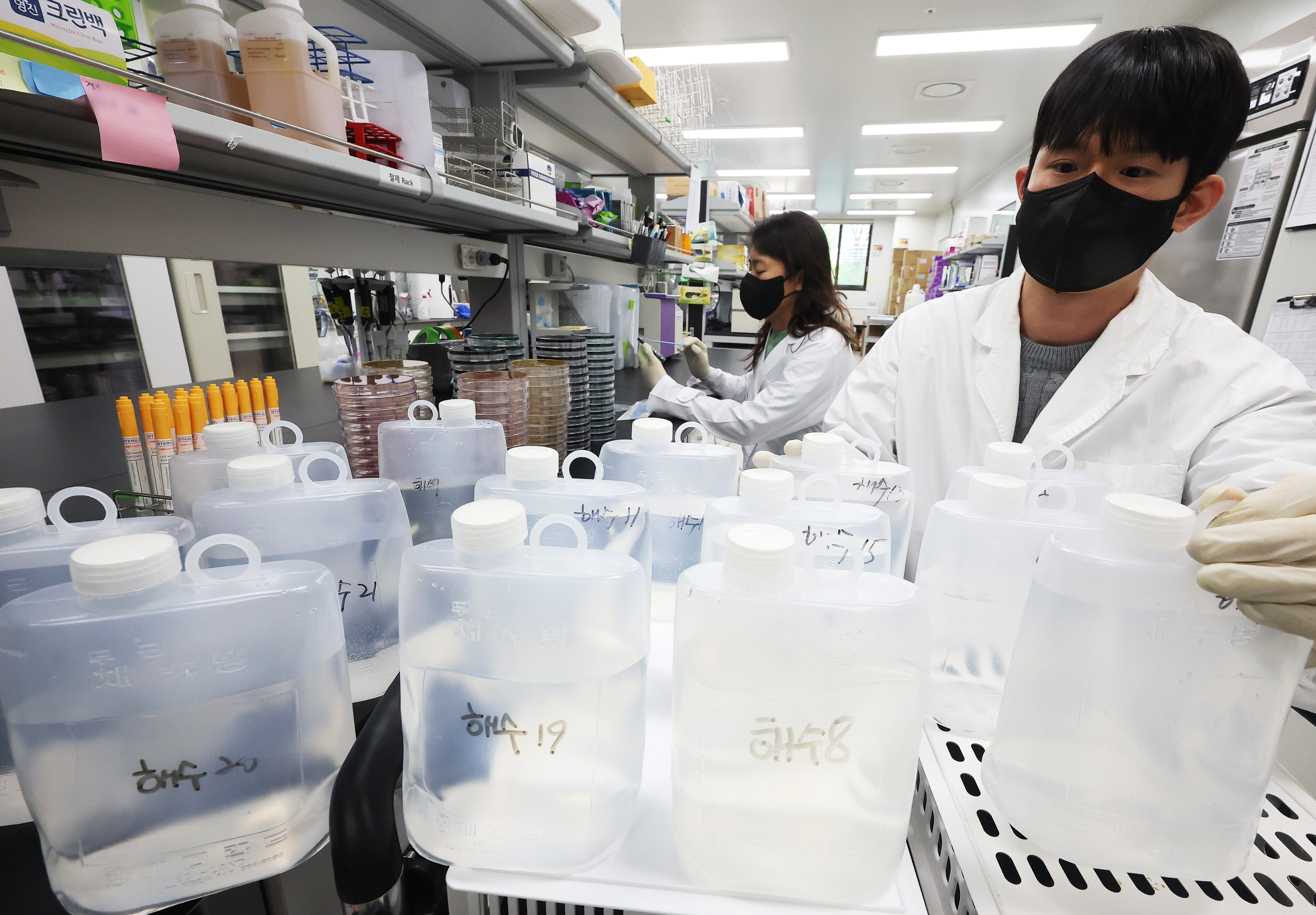 '치사율 50%' 비브리오패혈증균, 올해 첫 검출…증상은