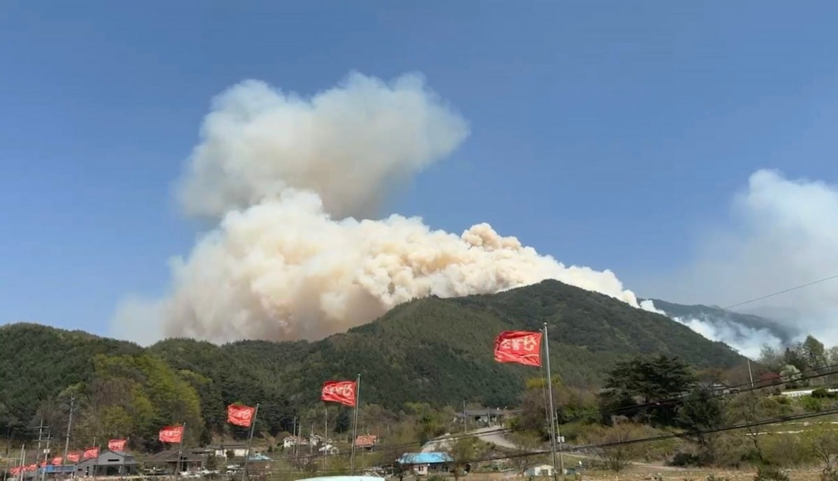 26일 오후 1시 18분께 인제군 상남면 하남리 인근 야산에서 산불이 발생했다. 사진=연합뉴스, 독자 제공