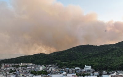 [속보] 대구 함지산 산불 재발화에 국가동원령 발동