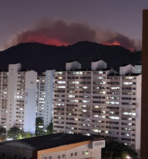 바람타고 번지는 대구 함지산 산불. /사진=연합뉴스