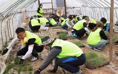 정부, 농번기에 700만명 지원… 인력수급 매주 모니터링