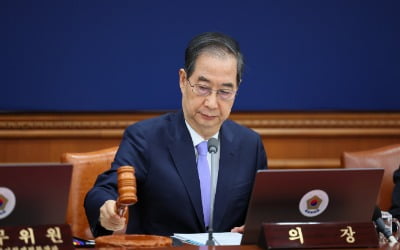 [속보] 韓대행 "추경 신속처리 전제되면 국회 논의에 유연하게 임할 것"