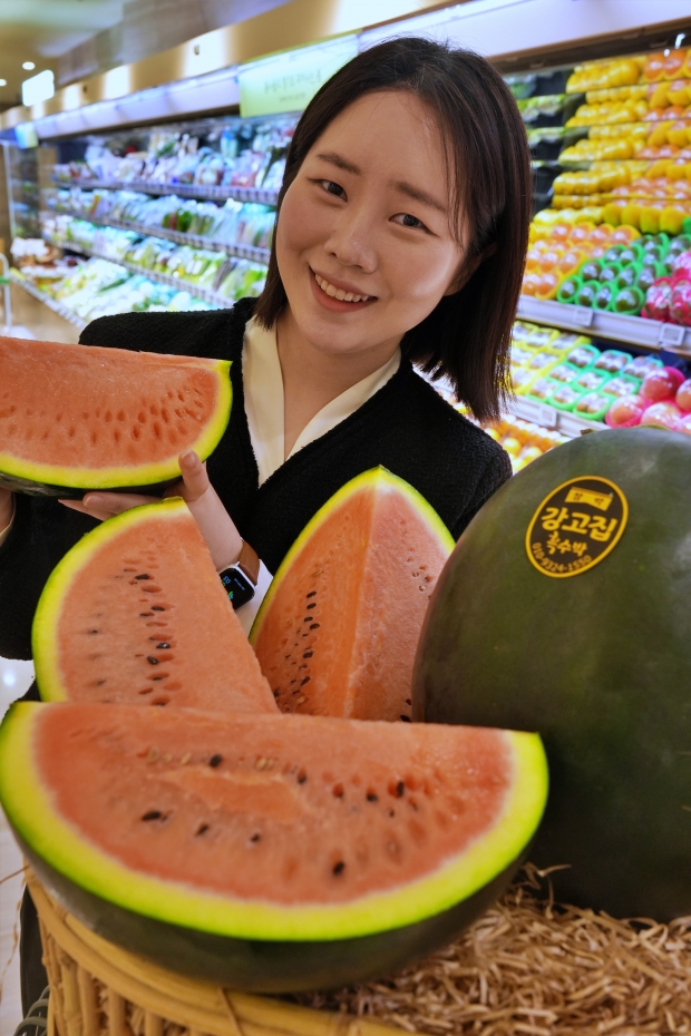 롯데백화점, 30년 수박 외길, 함안 강고집 흑피 수박 판매!