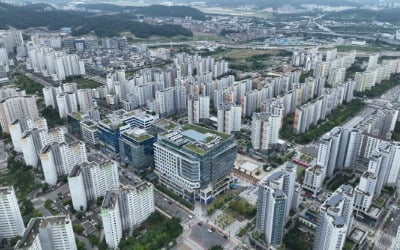 한달 만에 집값 1억 '뚝'…"사기 당했다" 집주인들 '분통'