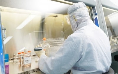 강스템바이오텍, 골관절염 치료제 개발 성공 위해 AI기업과 맞손