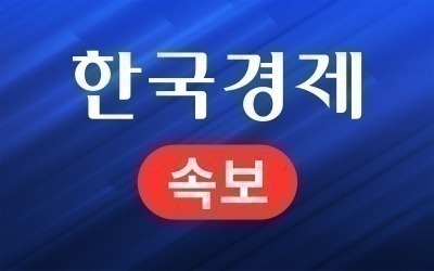 [속보] 최상목 경제부총리, 사의 표명