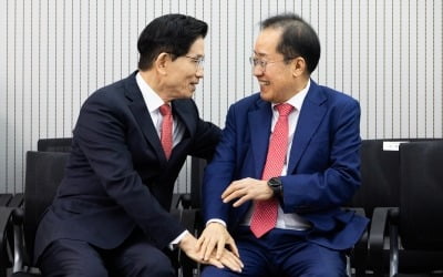 [속보] 김문수, 선대위원장에 홍준표 임명…미국 안가고 선거 지원