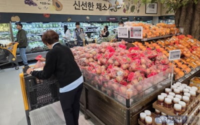 이 정도로 심각할 줄이야…"70% 이상 초토화" 농가 초비상 [이슈+]