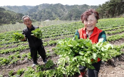 "지금 가면 반값" 정부가 나서서 홍보…축제 쏟아진 여행지