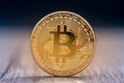 '곧 하락 온다' 테슬라·비트코인 인버스 ETF 사들이는 투자고수들