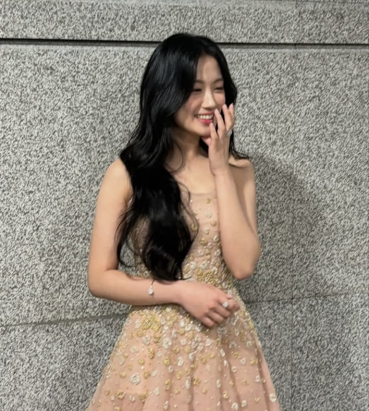 キム・ヘユン、美しいドレス姿で第61回百想芸術大賞に登場