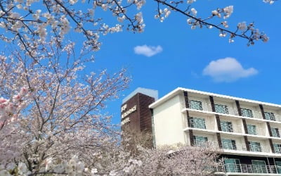 AFG 제주·정선·명동 호텔·리조트, 5월 '가정의 달' 프로모션