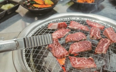 한우값 비싼데 왜…"1마리 팔면 161만원 손실" 농가의 눈물