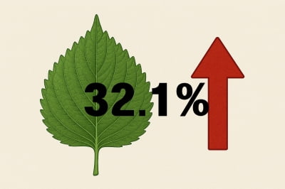 쌀쌀한 새벽 기온에…깻잎·상추 도매가 30% 껑충