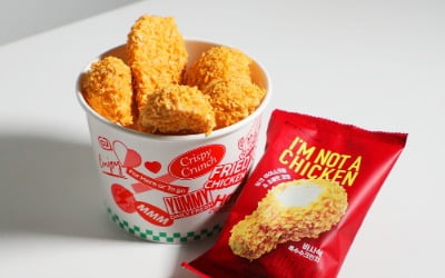 미국서 난리 난 '치킨 아이스크림'…CU, 업계 첫 출시