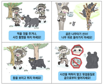 봄되니 반달가슴곰도 활동 왕성..."마주치면 이렇게 하세요"