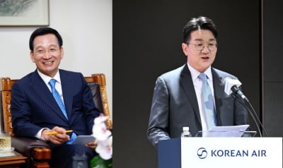한진칼 지분 또 늘린 호반 김상열…조원태 경영권 노리나