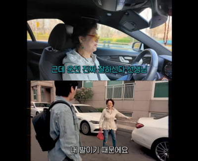 "선우용여도 운전하는데?"…노년층 운전면허 반납 딜레마 [이슈+]
