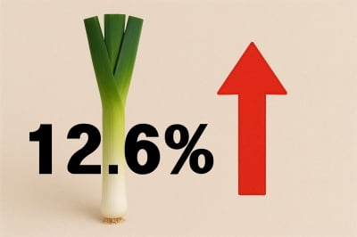대파값 1주일 새 12%↑… 농산물 22개 품목 중 절반 상승 [AI 도매시황, 12일]