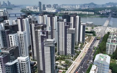 4개월 만에 15억 뛰었다…다주택 규제가 만든 '똘똘한 괴물' [부동산 공약 톺아보니 下]