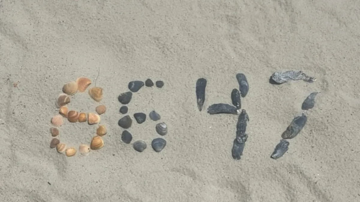 제임스 코미 전 연방수사국(FBI) 국장이 올린 메시지. 사진=제임스 코미 X 갈무리.