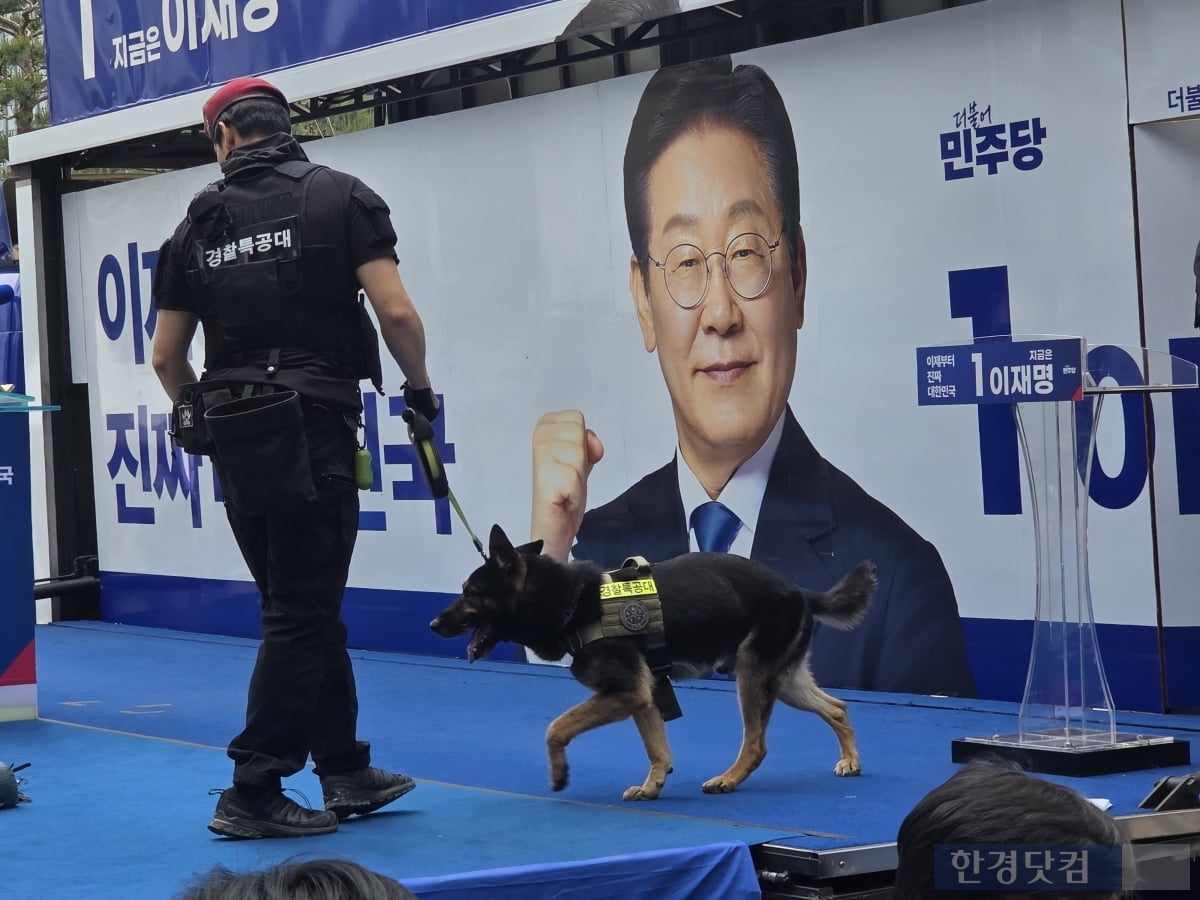 19일 서울 용산구 용산역 광장에서 열린 이재명 더불어민주당 대선 후보 forever 토토사이트 현장에서 폭발물 탐지견이 무대에서 위험물을 탐색하는 모습. /사진=이민형 기자
