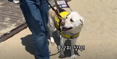 "안내견 때문에 안돼"…'차별대우' 당한 시각장애인 사연