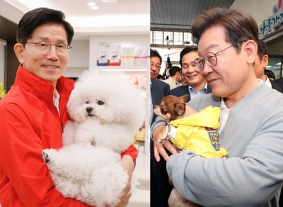 강아지 품에 안은 이재명·김문수…1262만 반려인 마음 노린다