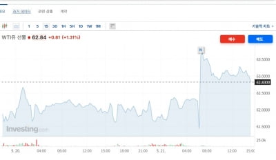 이스라엘, 이란 핵시설 타격 가능성에 국제 유가 3% 급등 [오늘의 유가]
