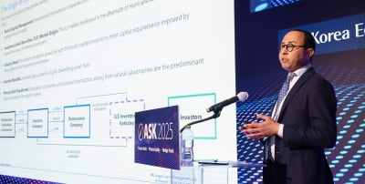 "자연재해에 베팅하는 보험연계증권, 위험분산 효과 '쏠쏠'"[ASK 2025]