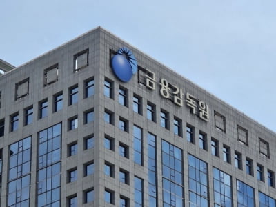 이복현의 마지막 드라이브 '캡티브 감사'...사실상 조사 수준으로 확대