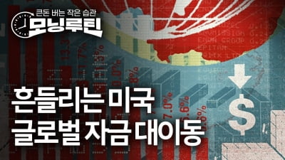 신흥국으로, 비트코인으로…'피난처'로 글로벌 자금 이동