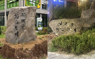 신축 아파트에 날아든 '궁서체' 조경석…"감 떨어져" vs "특색있다" 갑론을박