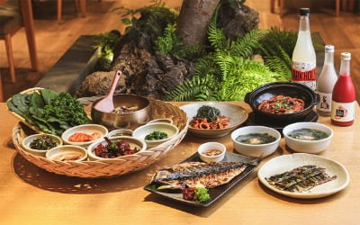 제주 고급 식당가도 달라졌다…관광객 줄더니 결국 '백기'