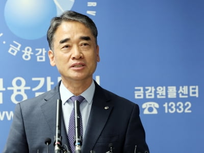 금감원,'사각지대' PEF 검사 확대...유증 중점심사 지속 강화
