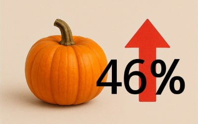 호박값 1주일새 46% 급등… 상추도 42.5% 올라