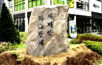 서울 신축 아파트에 '20억 돌덩이'…논란 폭발하더니 결국