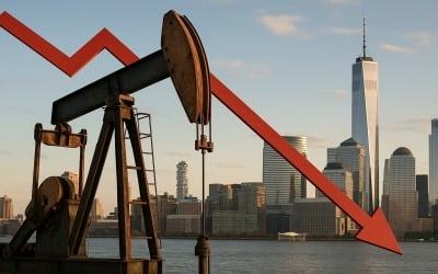 7월 증산 논의 앞둔 OPEC+…국제유가 흔들