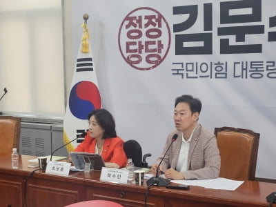 국힘 "디지털자산 진흥 위해 美 협력 모색…제도적 지원 나선다"