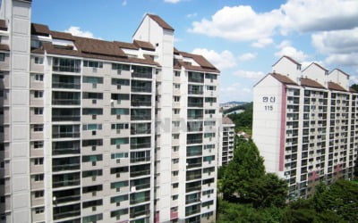 포스트 원베일리 노리는 분당 재건축 대장주…주민설명회 개최