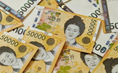 연 10%대 이자수익에 비과세…다시 돈 몰리는 브라질 국채