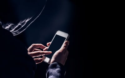 베트남서 지시하면 일본서 훔쳤다…베트남 형제의 '원격 절도'