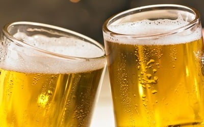 통풍 걱정 안 해도 되는 '이 맥주' 국내 상륙한다
