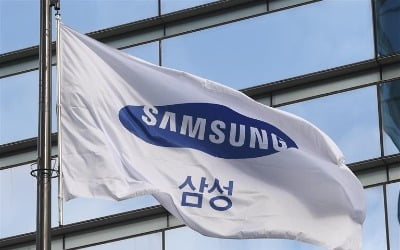 삼성전자, 독일 냉난방공조 기업 2.9조에 인수 추진 [블룸버그]