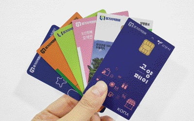 '가짜 결제·불법환전' 뿌리 뽑는다…경기도, 지역화폐 부정유통 정조준
