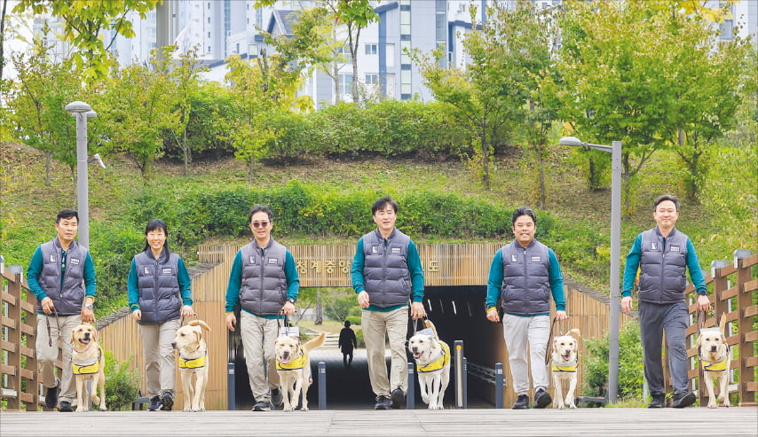 훈련중인 예비 안내견들.
