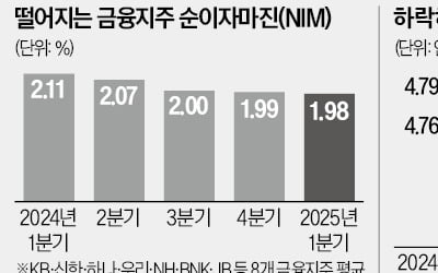 '잔치는 끝났다?'…줄줄이 터지는 악재에 금융지주 '한숨'