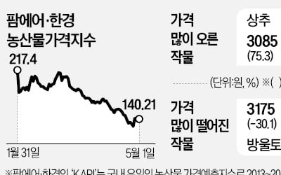 '오이데이'에 도매가 57% 껑충 뛴 오이