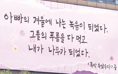 [포토] '폭싹 속았수다' 입은 광화문 글판