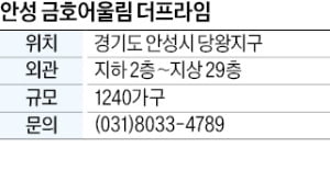 안성 금호어울림 더프라임, 즉시 입주 민간임대…잔금 90% 대출
